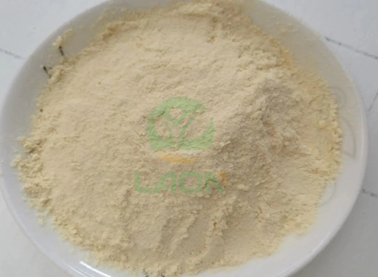 Supply Citrus Paradisi Extract Grapefruit Extract Naringin 98% Powder